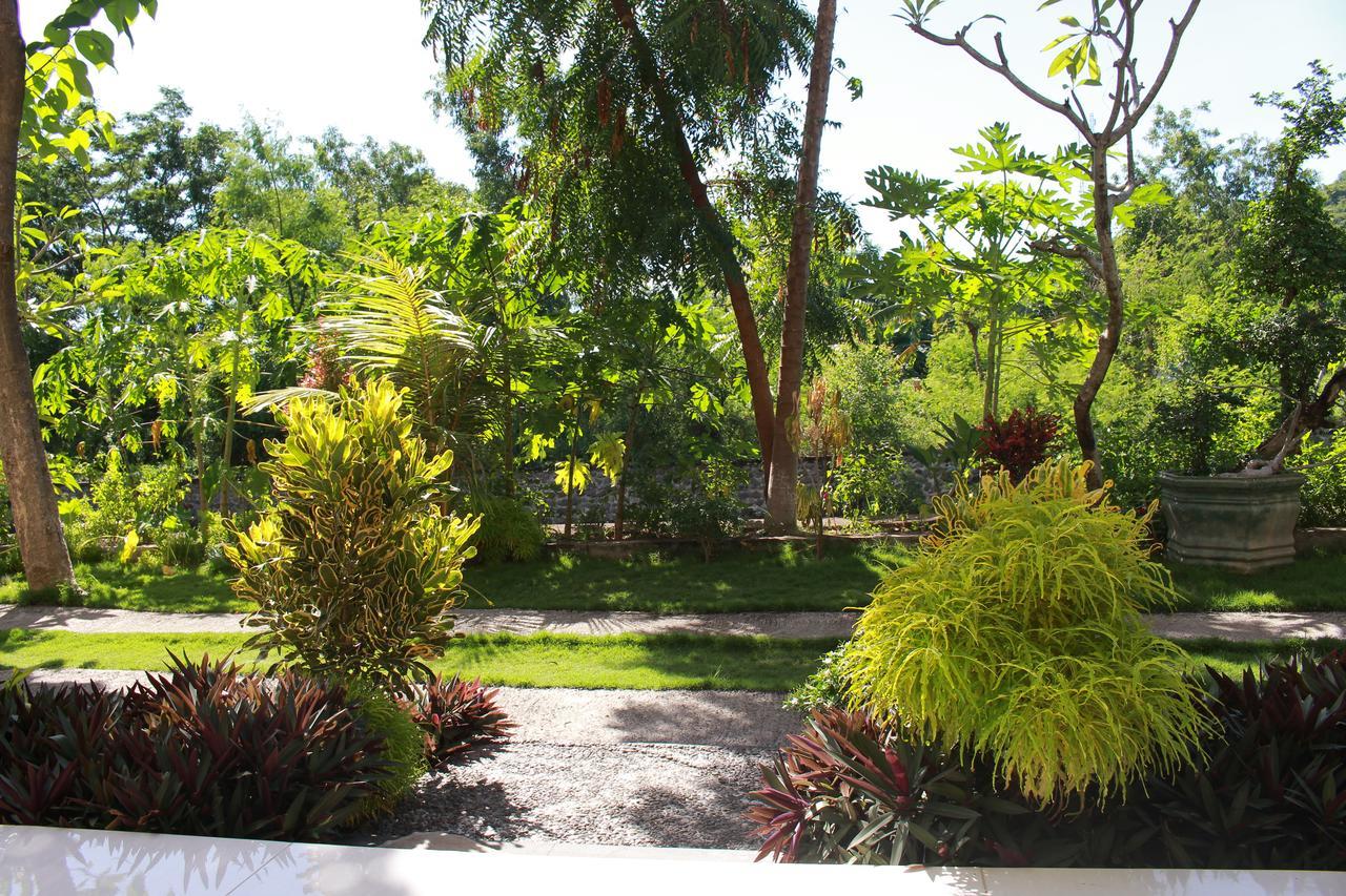 Taman Padi Villa Amed Kültér fotó